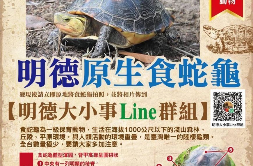 農業部生物多樣性研究所龜類生態與保育研習暨食蛇龜生態服務給付說明會