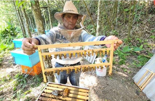 有限責任苗粟縣原鄉產業合作社